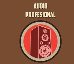 audio profesional